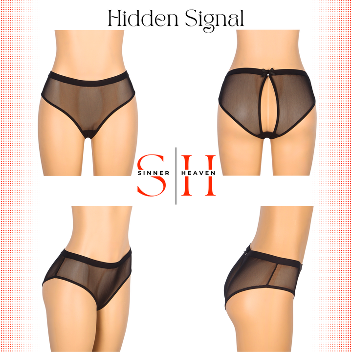 Hidden Signal